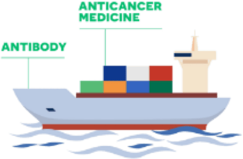A cargo ship illustration. The ship is labeled "antibody" and the boxes of cargo are labeled "anticancer medicine."